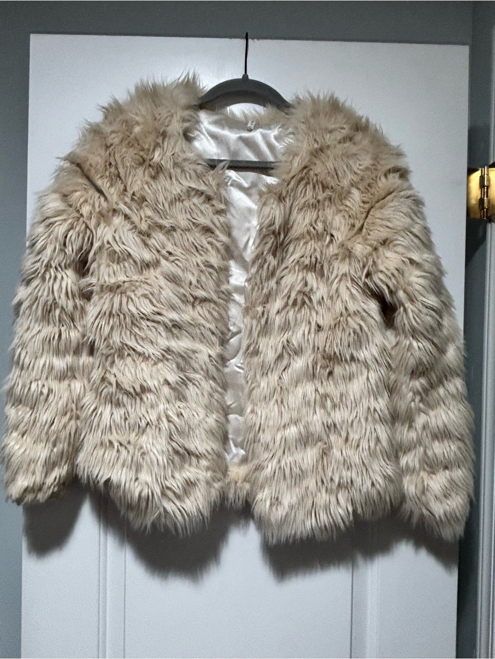 Willow & Clay Champagne Faux Fur Coat
